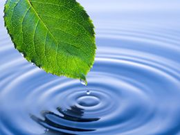 Desentupidora em Curitiba