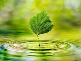 Desentupidora em Curitiba